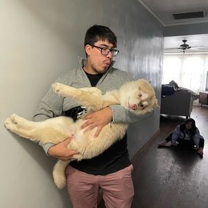 Meet your Posher, David